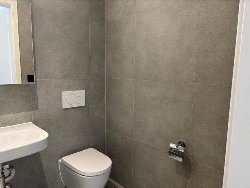 The Simplon Terrace 3 Min from Lausanne Station 63