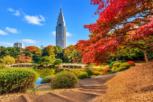 -Gyokuran- 6-minute walk from Shin-Okubo Station