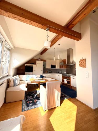 Big & Cosy City Apartment