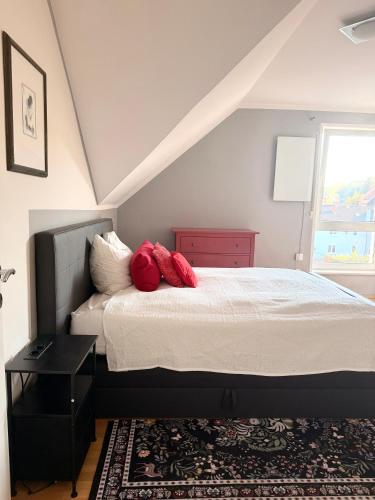 Big & Cosy City Apartment