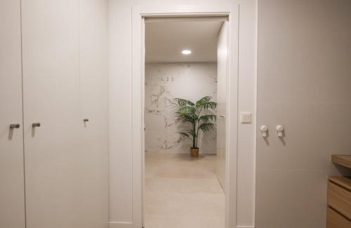 Noveo Patraix Casa Ocho Apartment