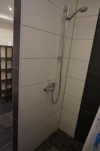 a shower with a glass door in a bathroom at Apartment Zirkusstraße in Leoben