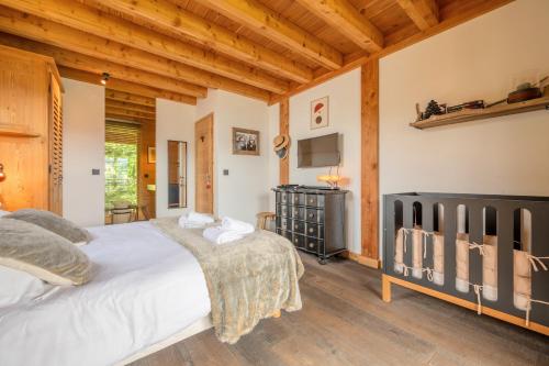 Chalet Alpavi - Les Gets - ski in out