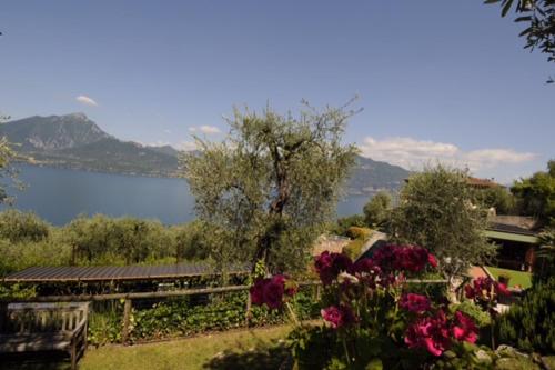 a garden with flowers and a view of a lake at Appartamenti Cavriè in Torri del Benaco