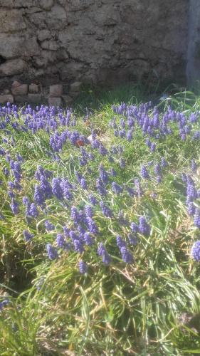 Photo de la galerie de l'établissement Lou Quinsou vendu, à Bordezac
