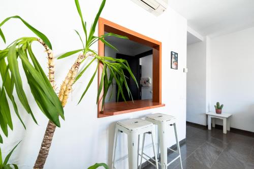Cosy Apartment with Great Views on Old Town