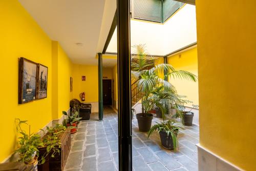 ISG Apartments Carlos Cañal 17