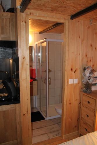 a bathroom with a shower and a toilet at Clos Shambhala-Chalet d'hôtes in Saint-Jean-Saint-Nicolas