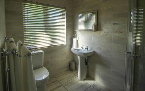 Un baño con lavabo, inodoro y ducha. en La Rose Douglas Guesthouse No loadshedding, en Douglas
