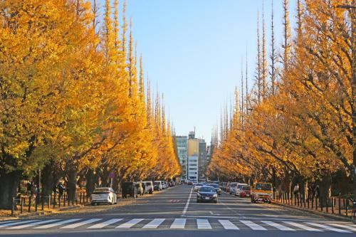 ヴィンテージデザイン神楽坂102 3-minute walk from the nearest station 6 minutes to Ikebukuro Station Direct bus to Shinjuku Station