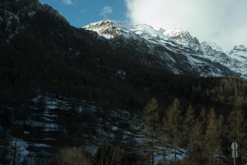 a snow covered mountain with trees in front of it at Hotel Etoile De Neige in Valtournenche