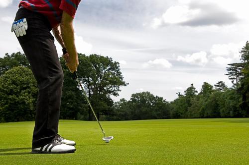 a man is playing golf on a golf course at Country Inn & Suites By Radisson, Atlanta Airport North, GA in Atlanta