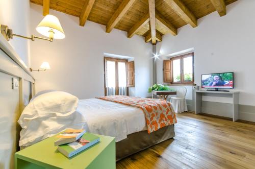 スルモーナにあるSantacroce Guesthouse Abruzzoのベッドルーム(ベッド1台、デスク、テレビ付)