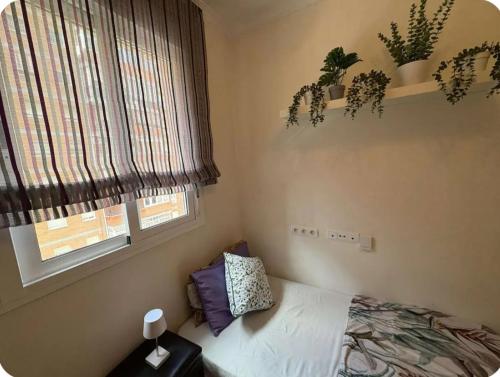 Entire Apartment near Airport & Center