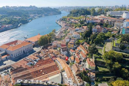 My Little Porto 2