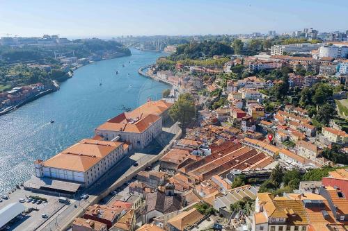 My Little Porto 2
