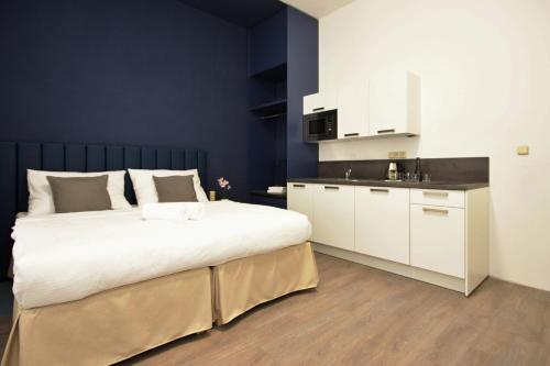 Kuchyň nebo kuchyňský kout v ubytování Alveo Suites