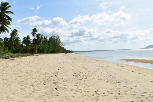 a sandy beach with palm trees and the ocean at Kate House Bangsaphan in Bang Saphan