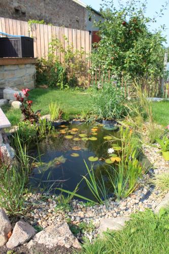 Taman di luar Ferienhof Gräfe - 3-Seiten Hof mit großem Garten, Pool & Sauna