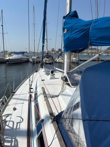 Aniram Sailboat