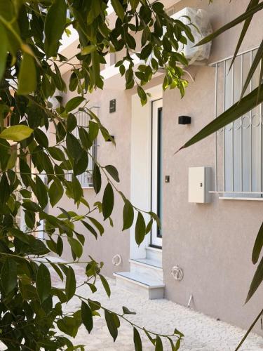 The Oasis luxury apartment in Athens