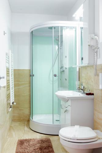 a bathroom with a shower and a toilet and a sink at Pensiunea Avy in Haţeg