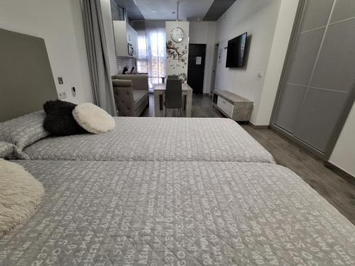 Loft La Calahorra
