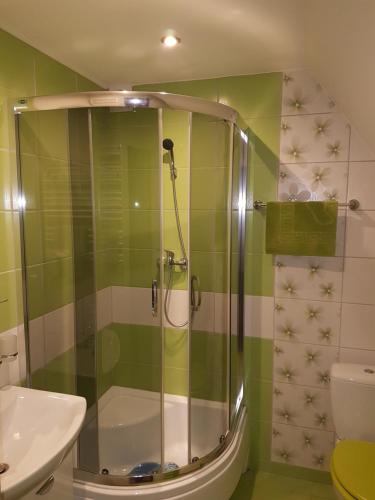 ポラニツァ・ズドルイにあるApartament Olivierのバスルーム(シャワー、洗面台、トイレ付)