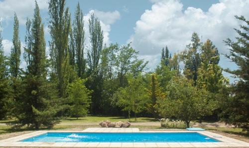 una piscina en un jardín con árboles en Cabañas La María Josefa en San Rafael