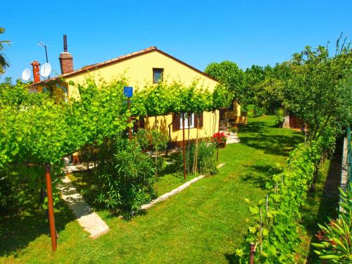 Apartment near Beach Fazana-Fazana (Region) 42492