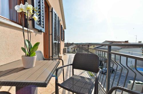 Apartments Beachfront in Novigrad-Istrien 44284
