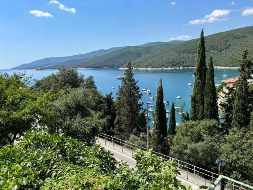 Apartment Beachfront in Rabac 44653