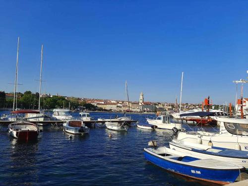 Apartment with Pool in Krk-Insel Krk 45773