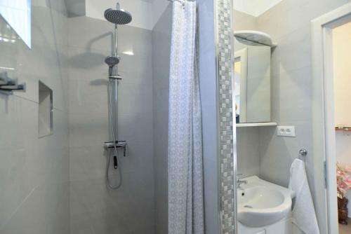 Apartments with A - C in Novigrad-Istrien 44239
