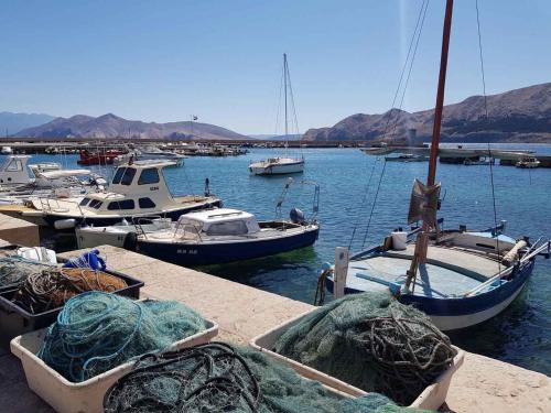 Studio Beachfront in Baska-Insel Krk 14296