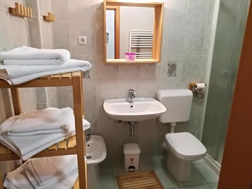 Koupelna v ubytování Apartment Maša
