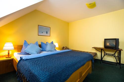 a bedroom with a bed with blue pillows and a tv at Penzion u lípy in Suchdol nad Lužnicí