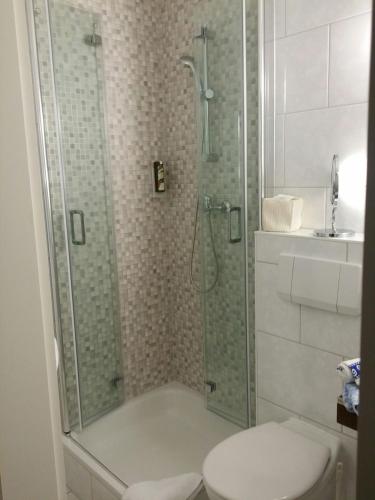 a bathroom with a shower and a toilet at Hotel Willert in Wismar