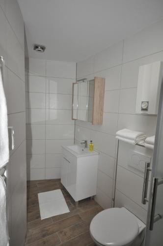 a white bathroom with a toilet and a sink at Apartment Dusseldorf-City in Düsseldorf