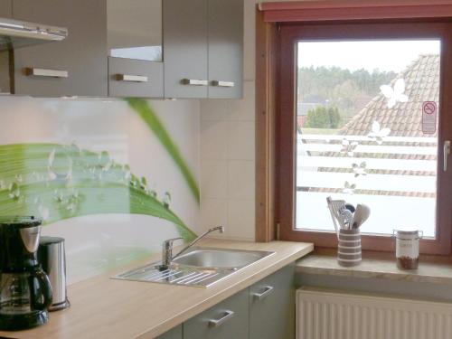 eine Küche mit einem Waschbecken und einem Fenster in der Unterkunft Haus Elbtalaue in Bleckede