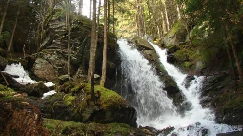 ゲストハウスの近くで見られる自然の景観