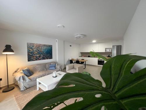 Sotavento Suites