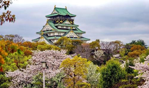 Stay 1St 601 8 min walk to Namba 13 min to Dotonbori 4 min walk to Sakuragawa Station