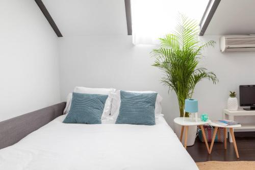 Cool Loft at Madrid heart a real finding at Malasana