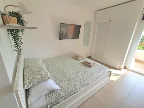 Agata Studio 435