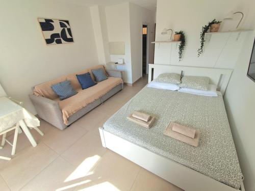 Agata Studio 435