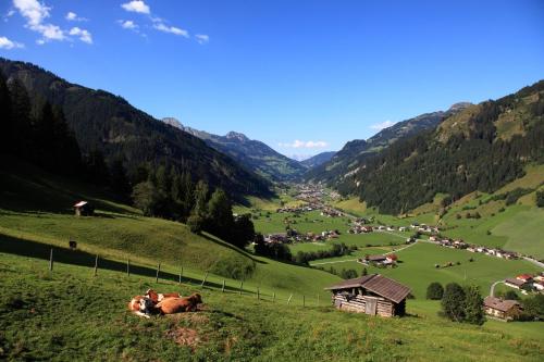 a group of cows laying on a hill in a valley at Hotel Kristall in Grossarl
