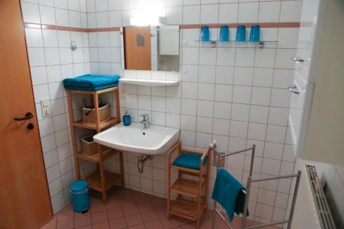 ein kleines Bad mit einem Waschbecken und einem Spiegel in der Unterkunft Apartment Nepomuk in Kirchberg an der Pielach