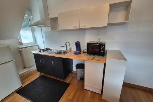 Apartment with garden in Colmar