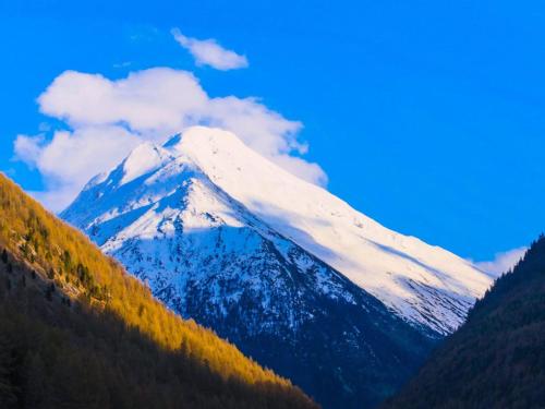 Apartment Monte Rosa Appartement-Fewo Appartement Weissmies by Interhome
